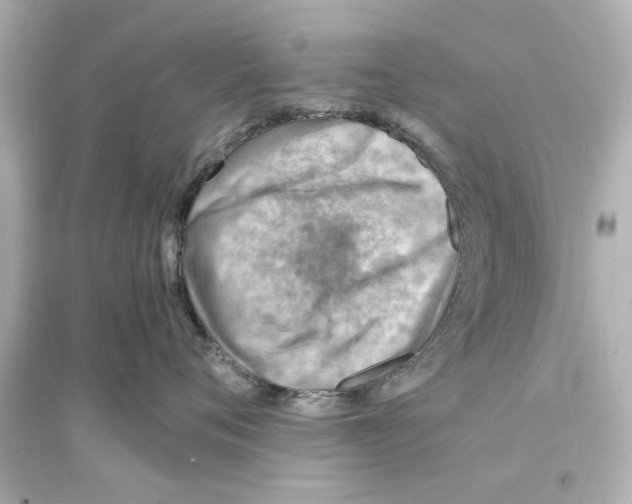 X0000093590720200711121124