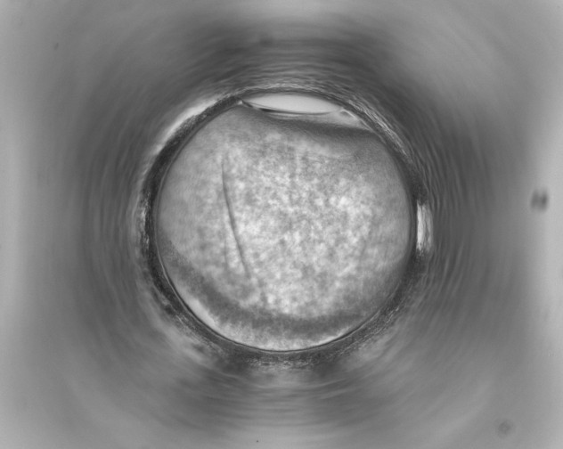 X0000093590723200711121123