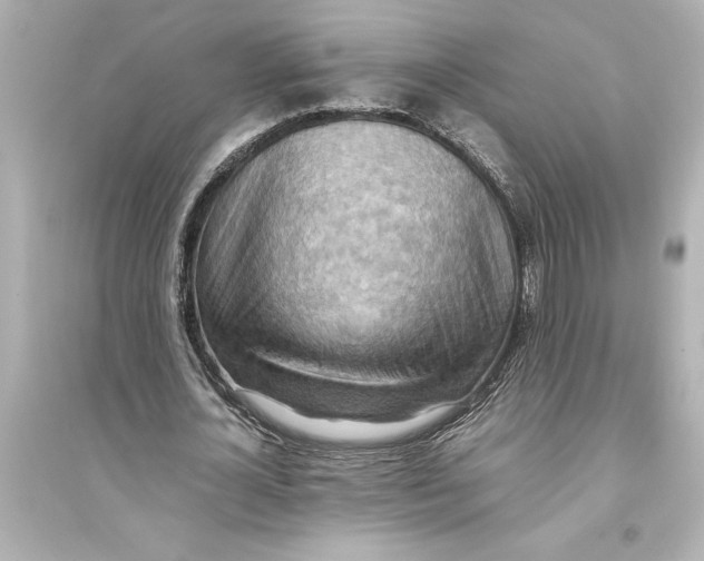 X0000093590724200711121123