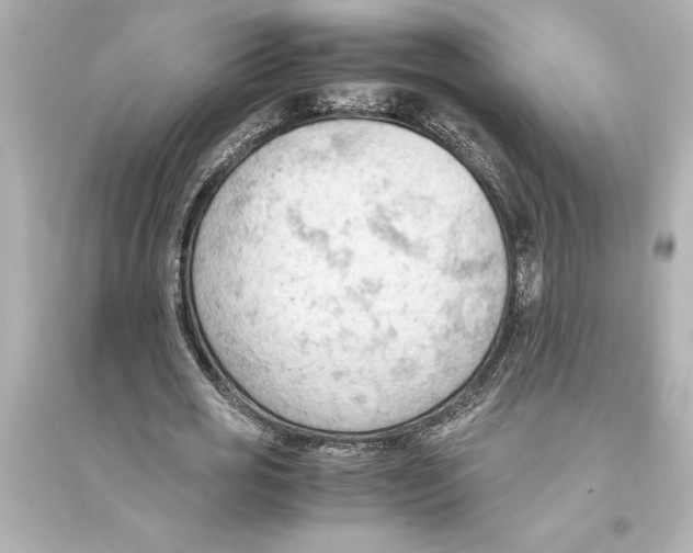 X0000093590725200711121123