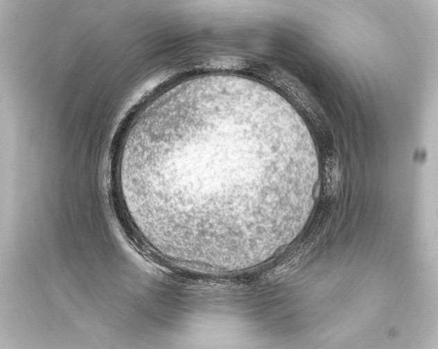 X0000093590726200711121124
