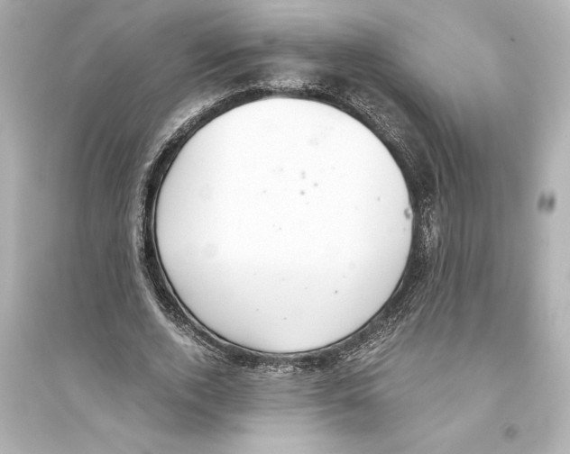 X0000093590728200711121124