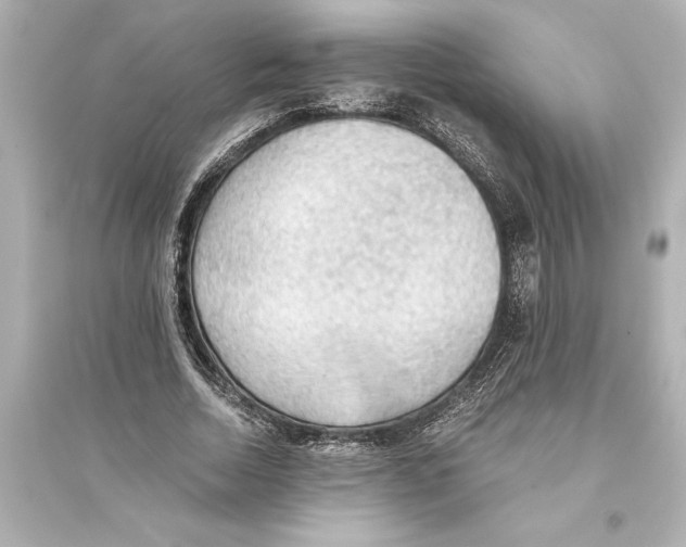 X0000093590730200711121124