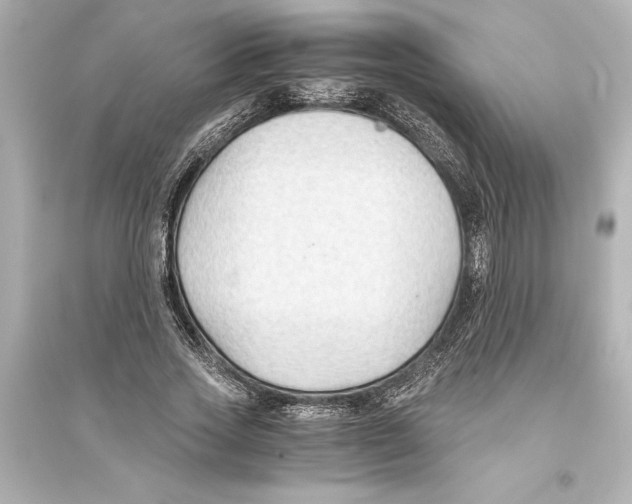 X0000093590733200711121124
