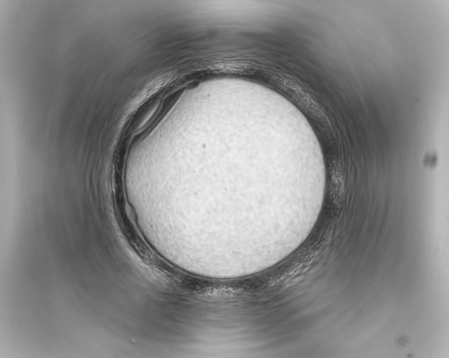 X0000093590734200711121124