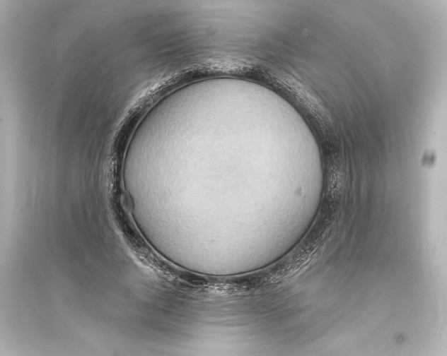 X0000093590736200711121124