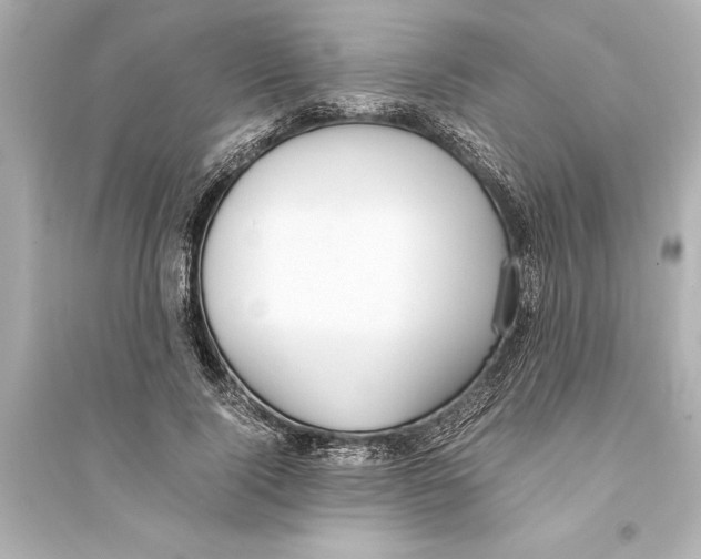 X0000093590740200711121124