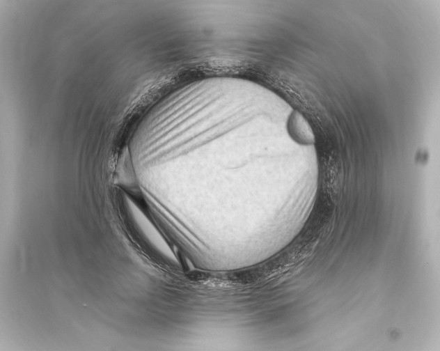 X0000093590742200711121124