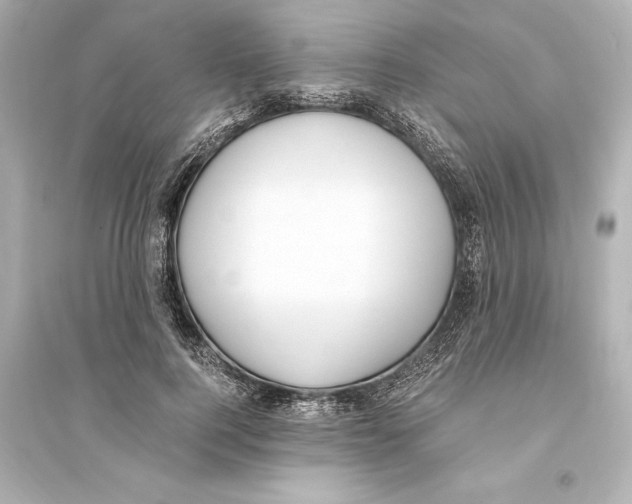 X0000093590744200711121124