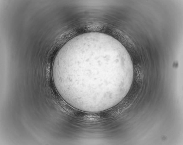 X0000093590745200711121124