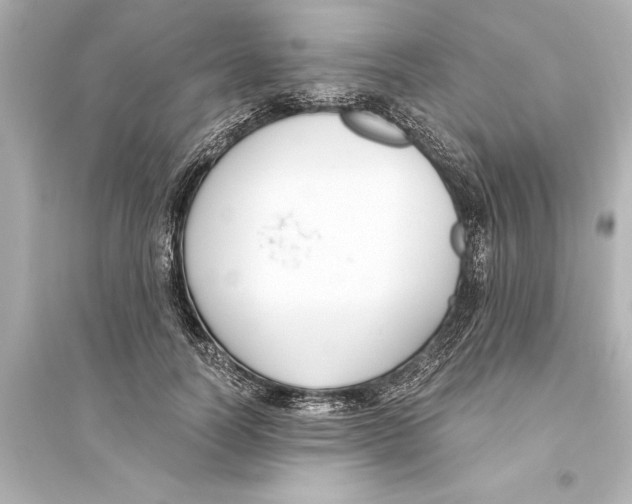 X0000093590746200711121124