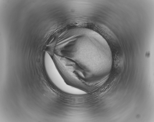 X0000093590748200711121124