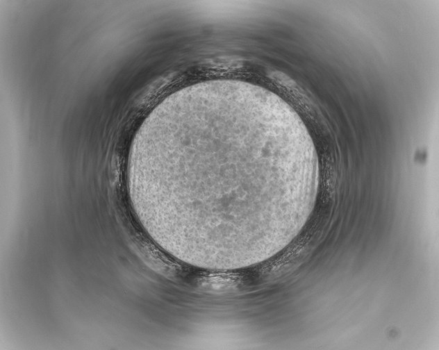 X0000093590758200711121124