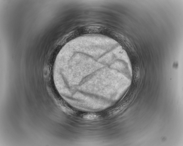 X0000093590759200711121124