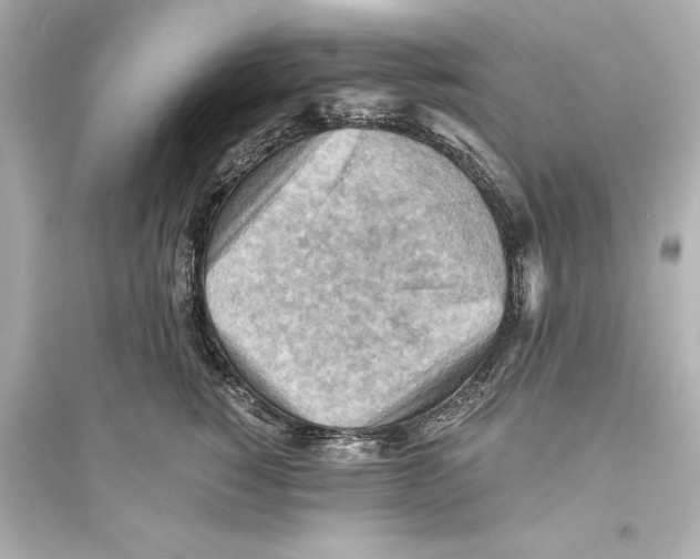 X0000093590760200711121124