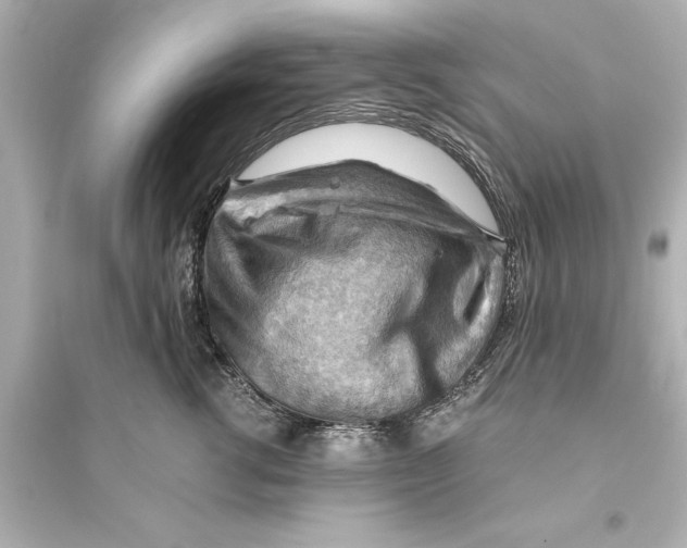 X0000093590762200711121124