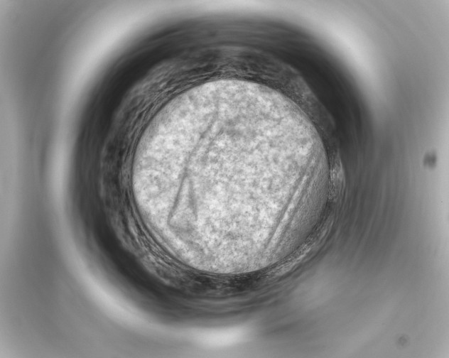 X0000093590765200711121124