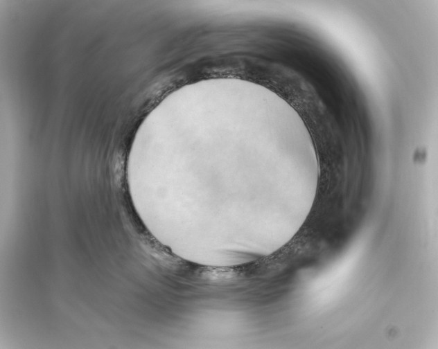 X0000093590767200711121124