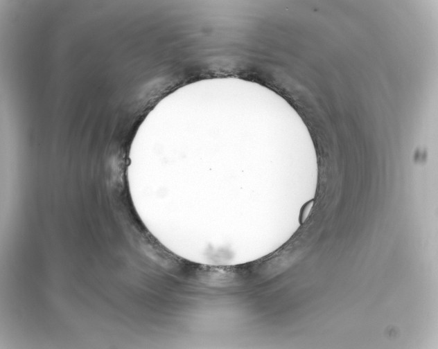 X0000093590768200711121124
