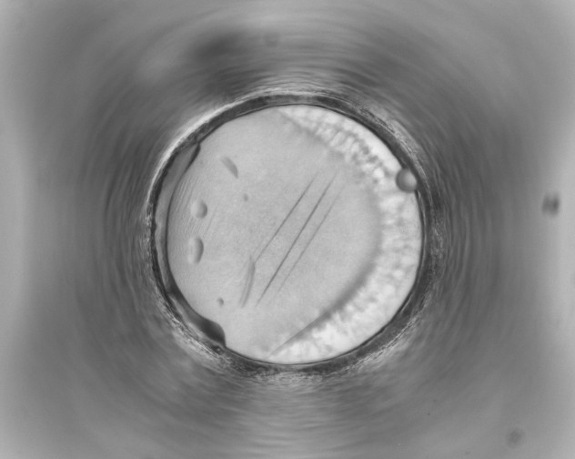 X0000093590779200711121123