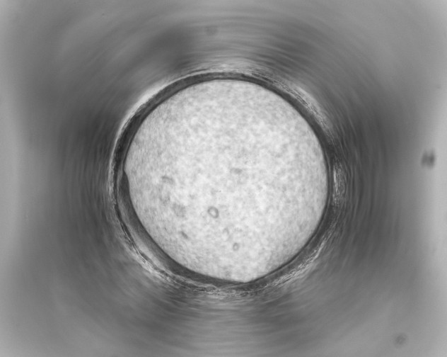 X0000093590780200711121123
