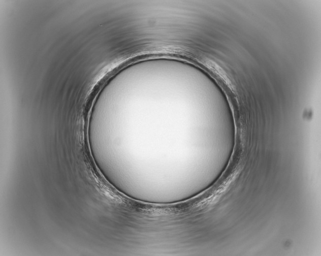 X0000093590781200711121123