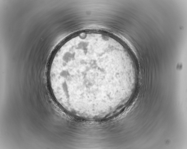 X0000093590783200711121123