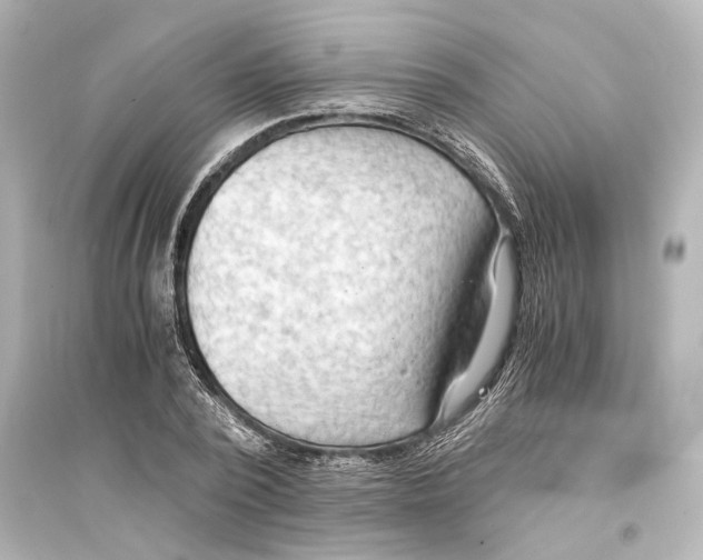 X0000093590784200711121123