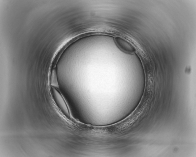 X0000093590788200711121123
