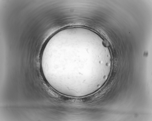 X0000093590789200711121123