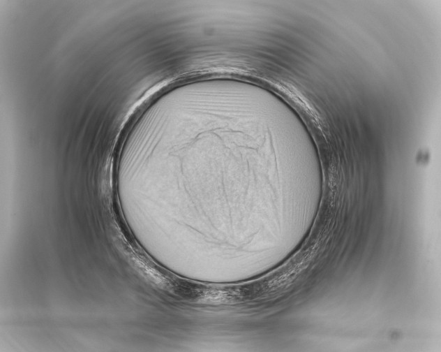 X0000093590790200711121123