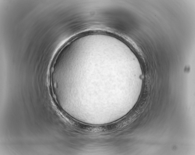 X0000093590791200711121123