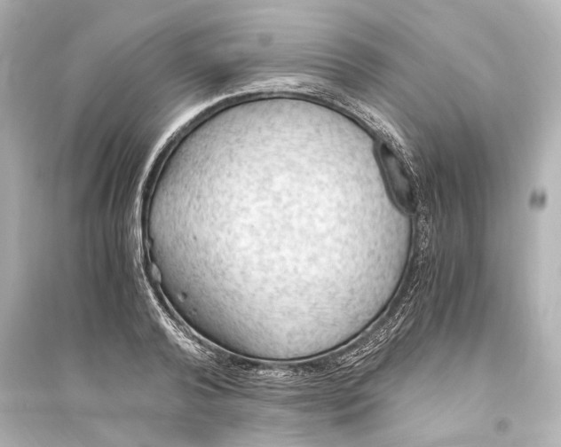 X0000093590792200711121123
