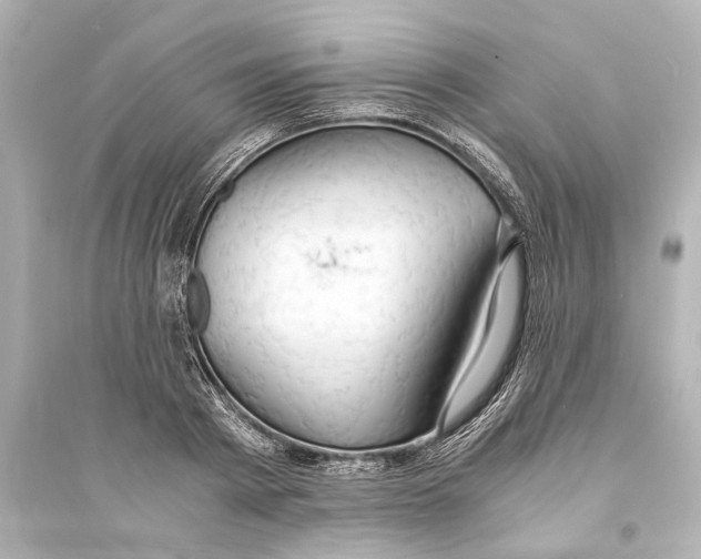 X0000093590793200711121123