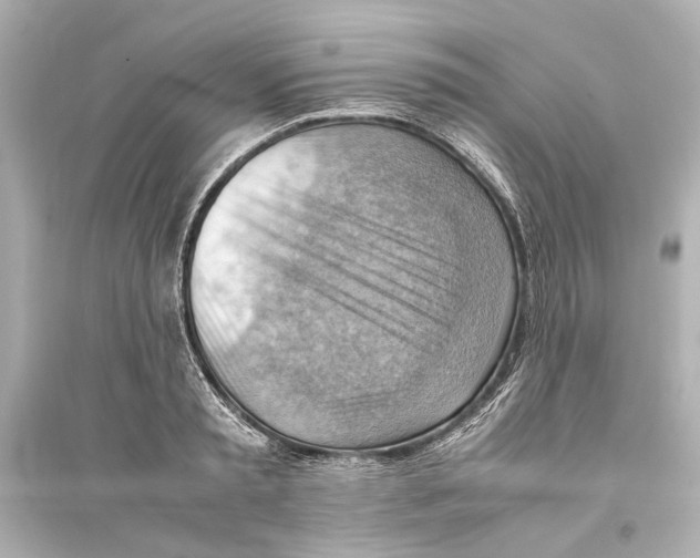 X0000093590797200711121123
