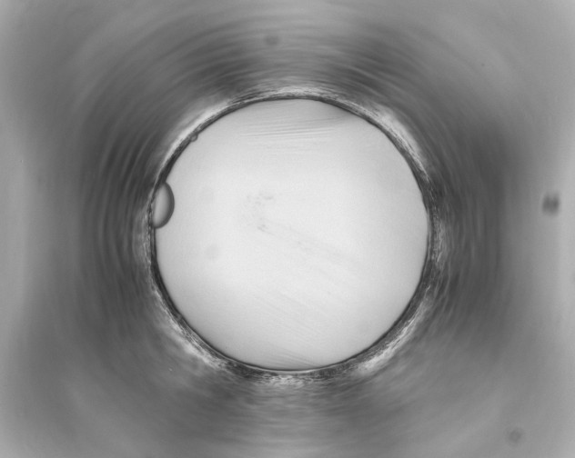 X0000093590806200711121123