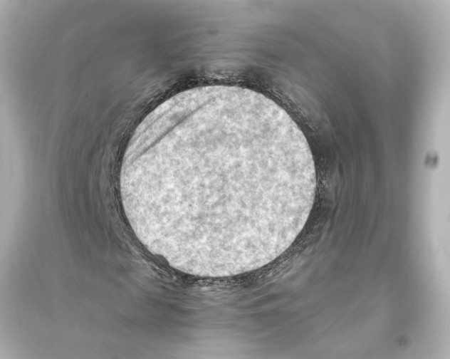 X0000093590817200711121122