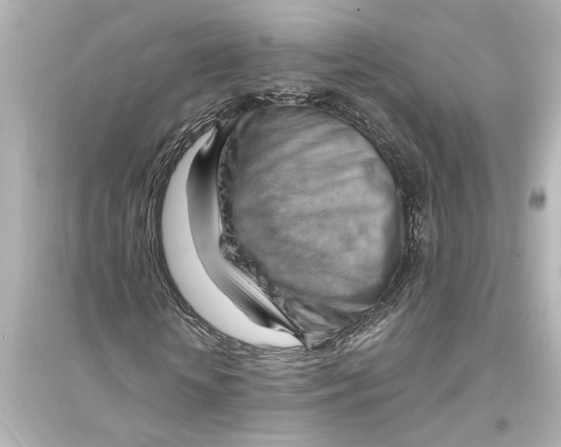 X0000093590818200711121122