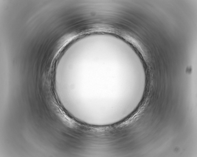 X0000093590828200711121122