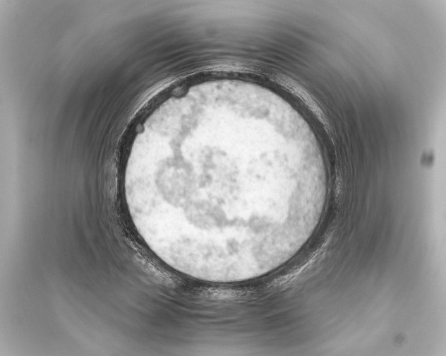 X0000093590829200711121122