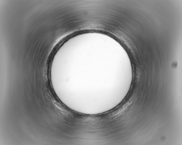 X0000093590830200711121122