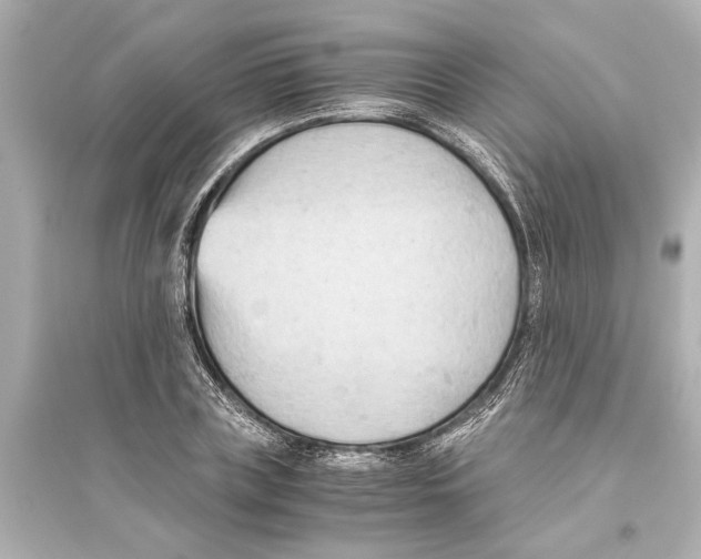 X0000093590835200711121122