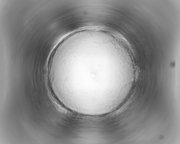 X0000093590836200711121122