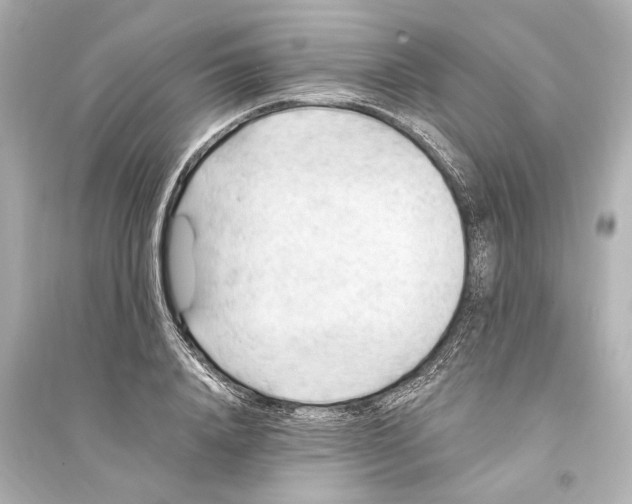 X0000093590840200711121122