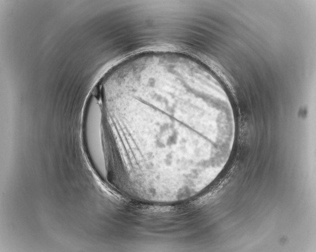 X0000093590845200711121122