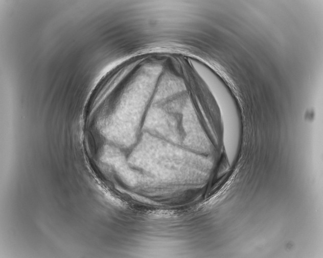 X0000093590846200711121123