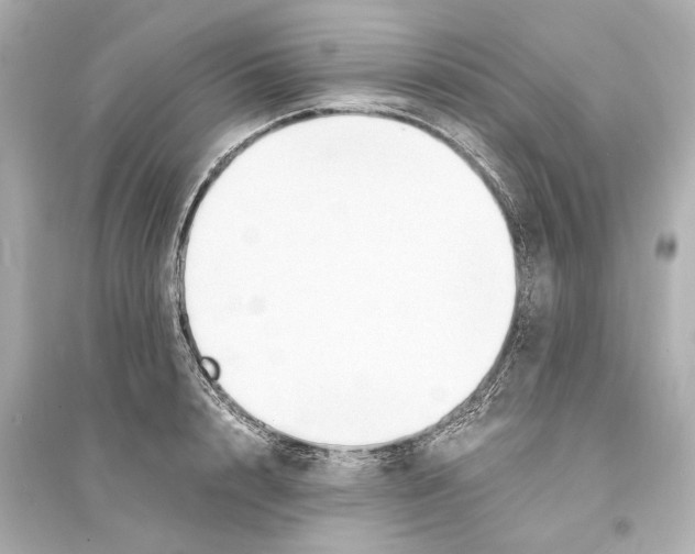 X0000093590848200711121123