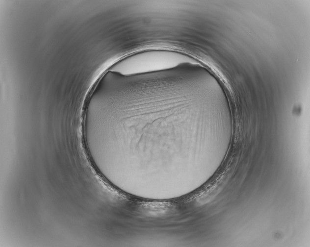 X0000093590853200711121123