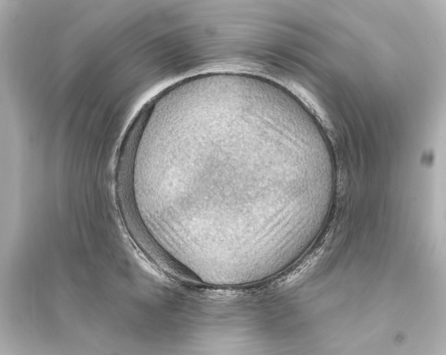 X0000093590854200711121123