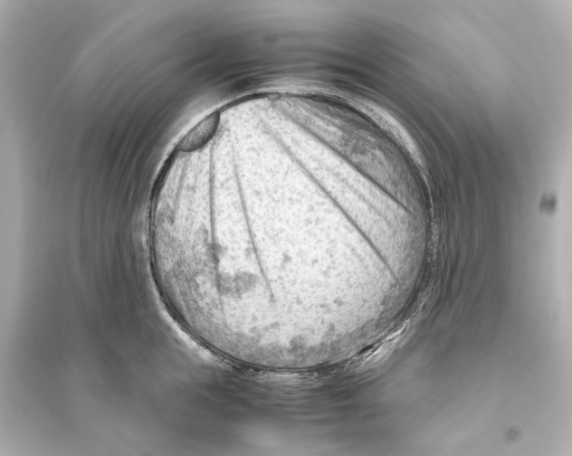 X0000093590855200711121123